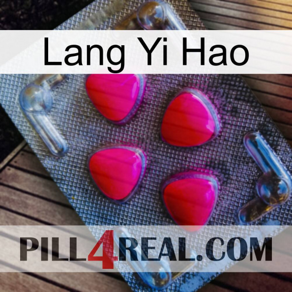 Lang Yi Hao 13.jpg